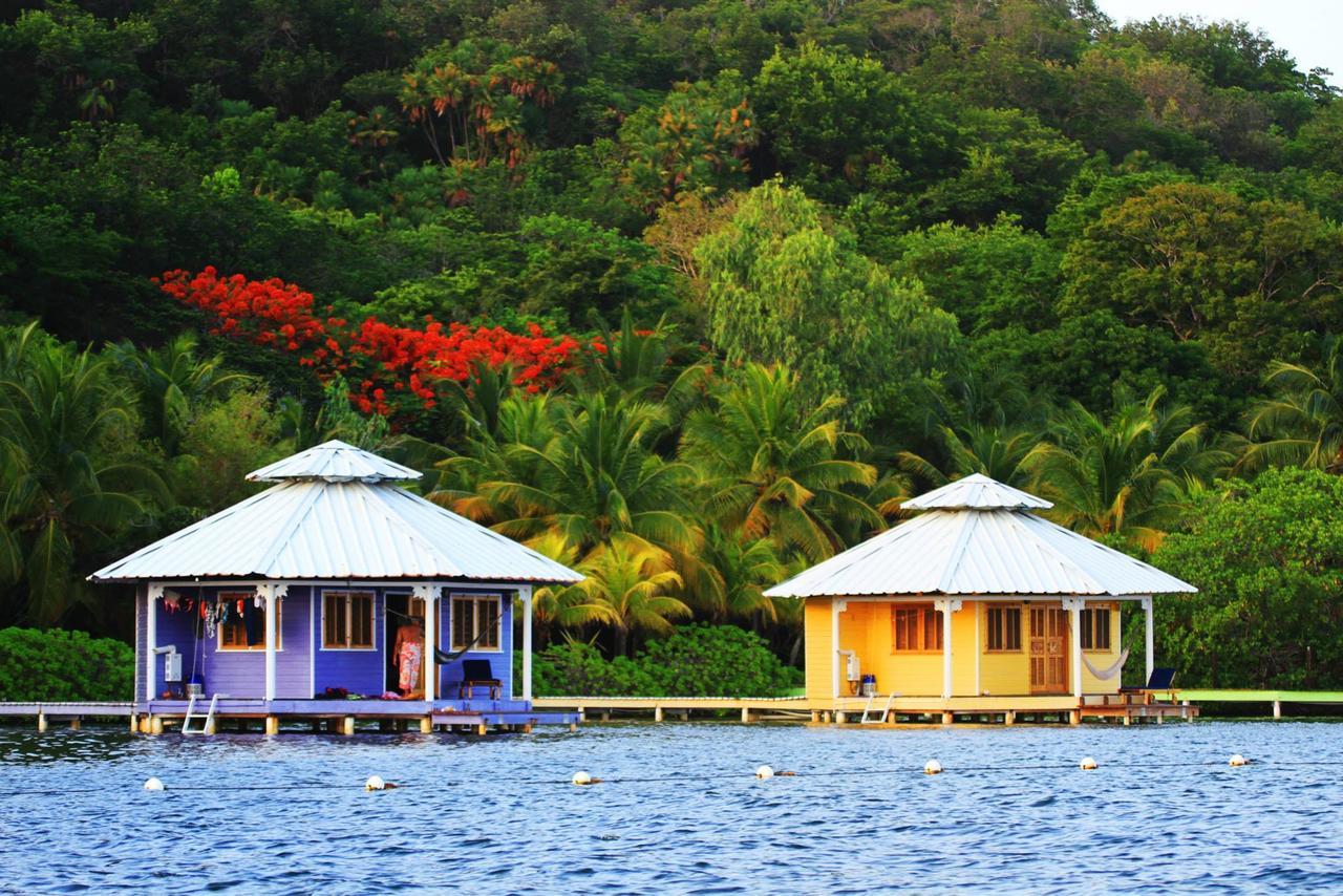 Mango Creek Lodge Port Royal Exteriér fotografie