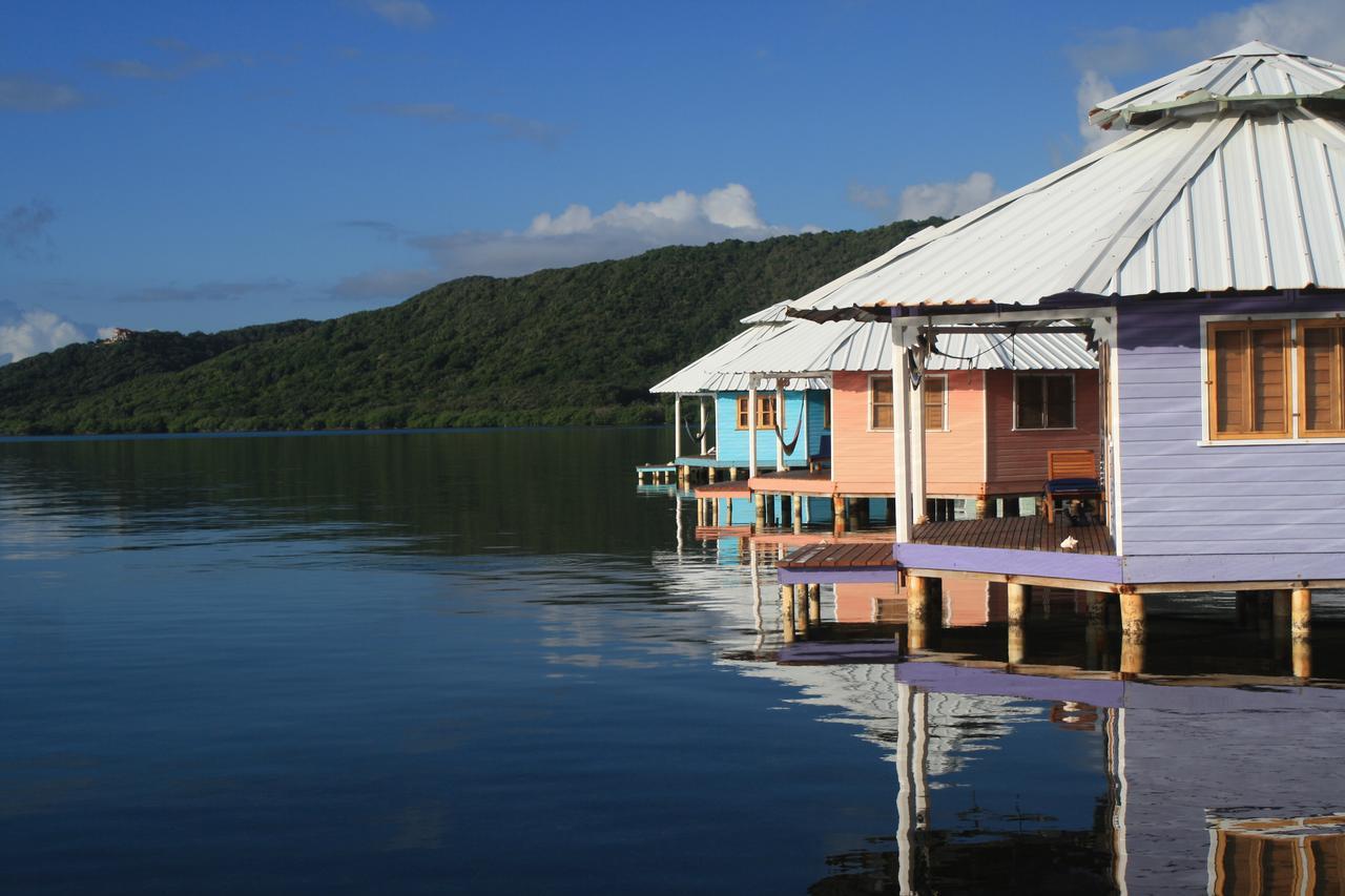 Mango Creek Lodge Port Royal Exteriér fotografie