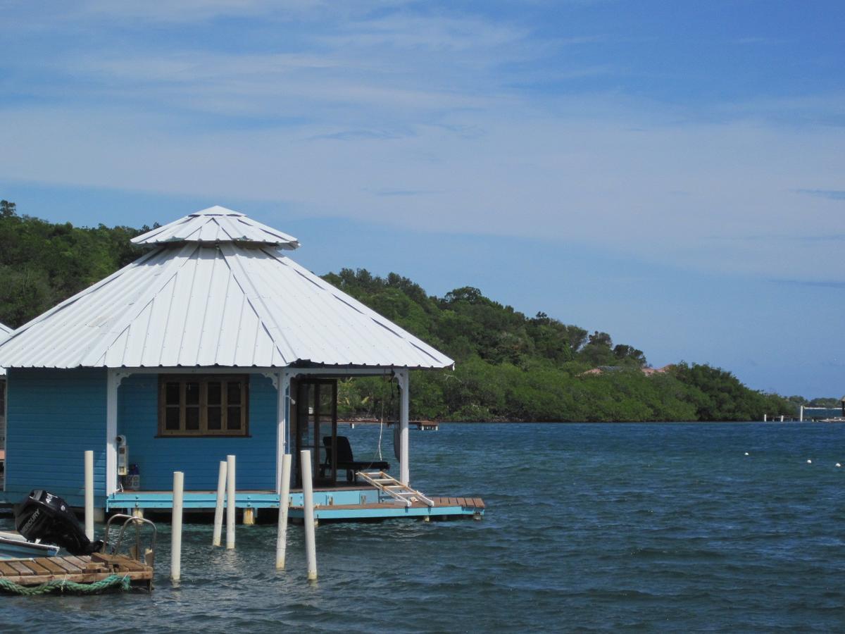 Mango Creek Lodge Port Royal Exteriér fotografie