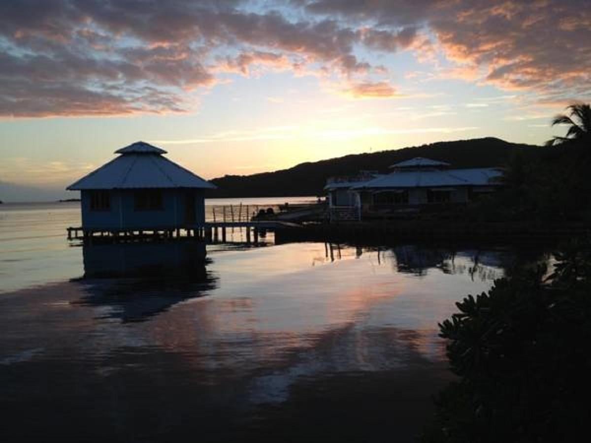 Mango Creek Lodge Port Royal Exteriér fotografie