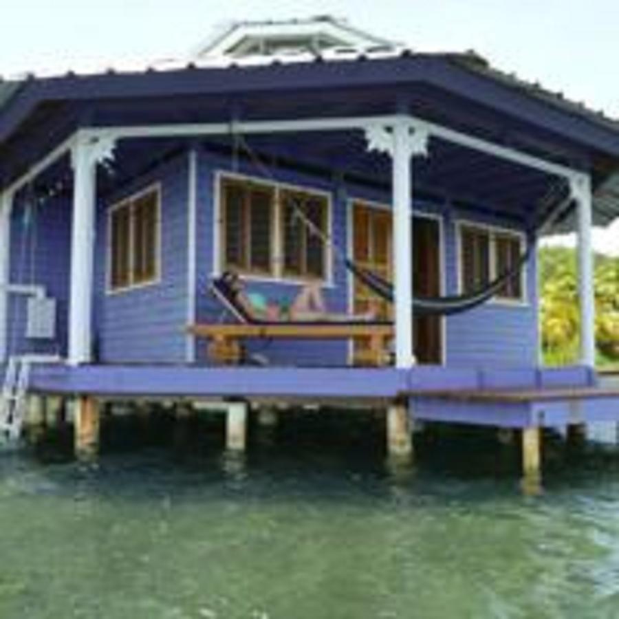 Mango Creek Lodge Port Royal Exteriér fotografie