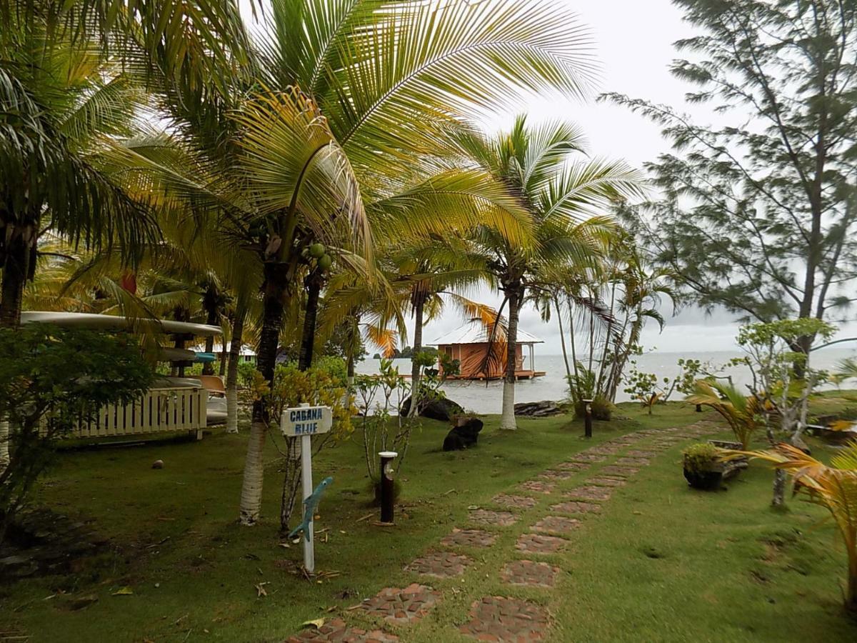 Mango Creek Lodge Port Royal Exteriér fotografie