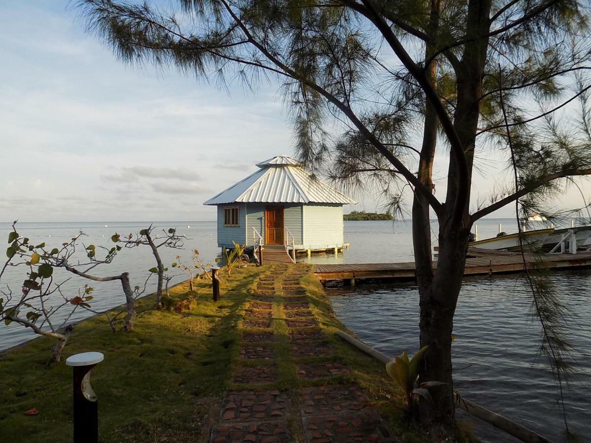 Mango Creek Lodge Port Royal Exteriér fotografie