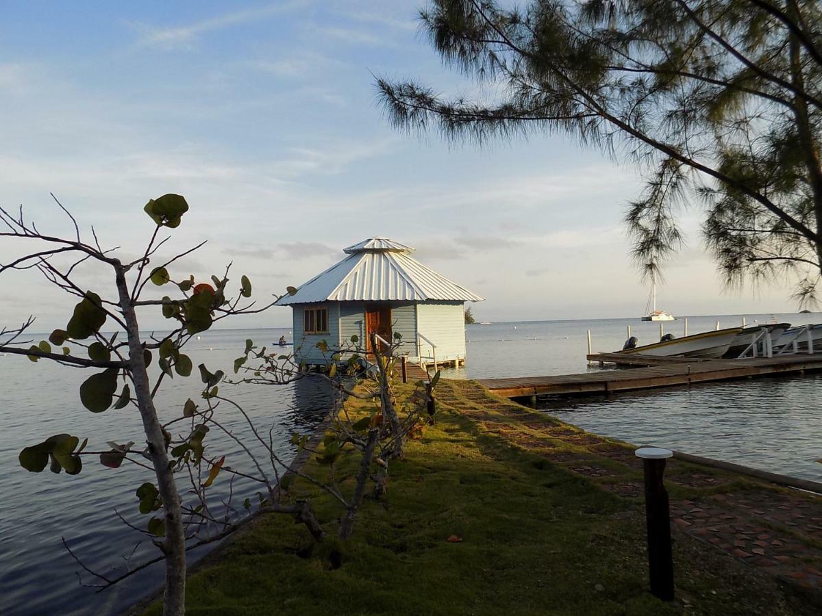 Mango Creek Lodge Port Royal Exteriér fotografie