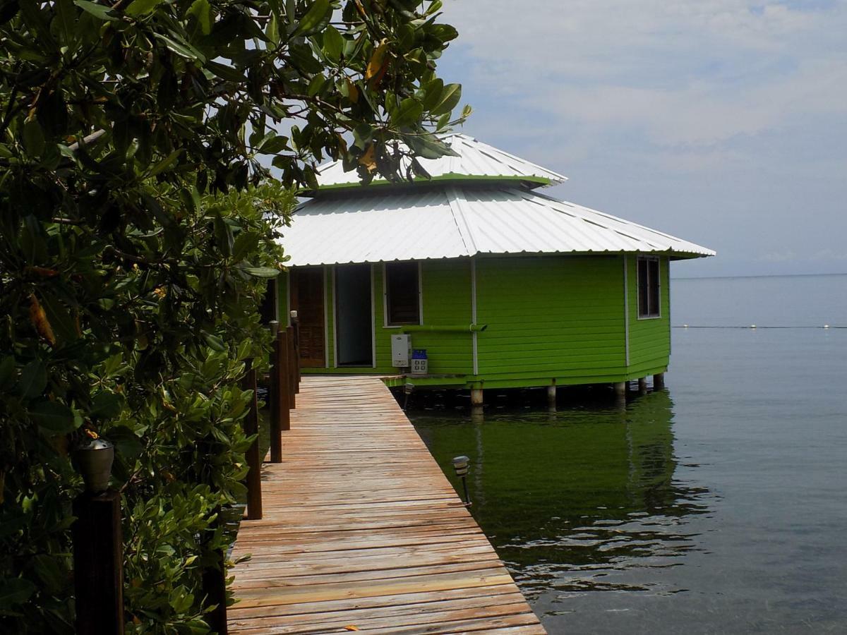 Mango Creek Lodge Port Royal Exteriér fotografie