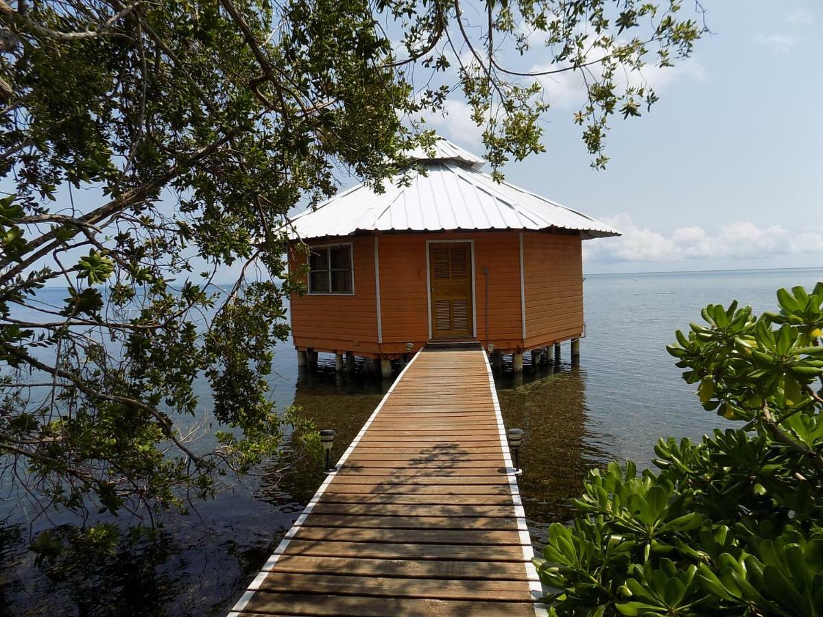 Mango Creek Lodge Port Royal Exteriér fotografie