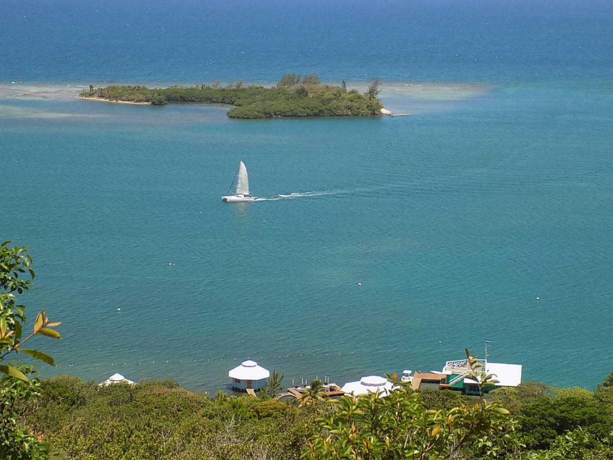 Mango Creek Lodge Port Royal Exteriér fotografie